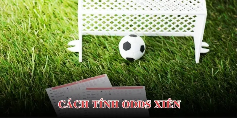 Hướng dẫn cách tính tiền trong kèo xiên dễ hiểu nhất cho người mới